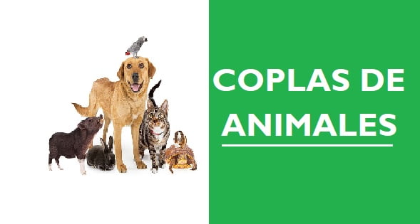 trovas de animales