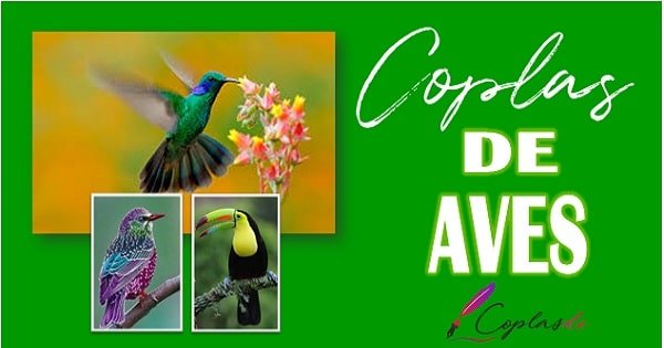 Coplas de aves