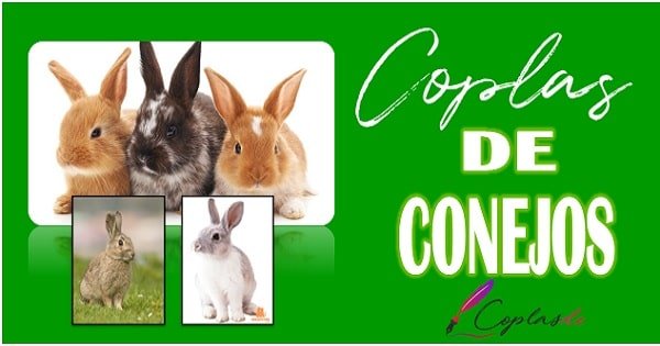 Coplas de conejos